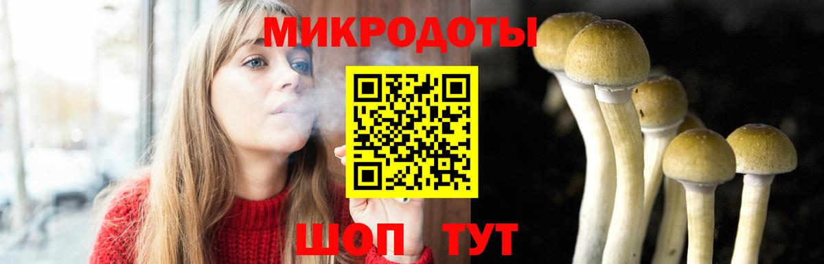 Галлюциногенные грибы мицелий  Вход с VPN  Стрежевой 